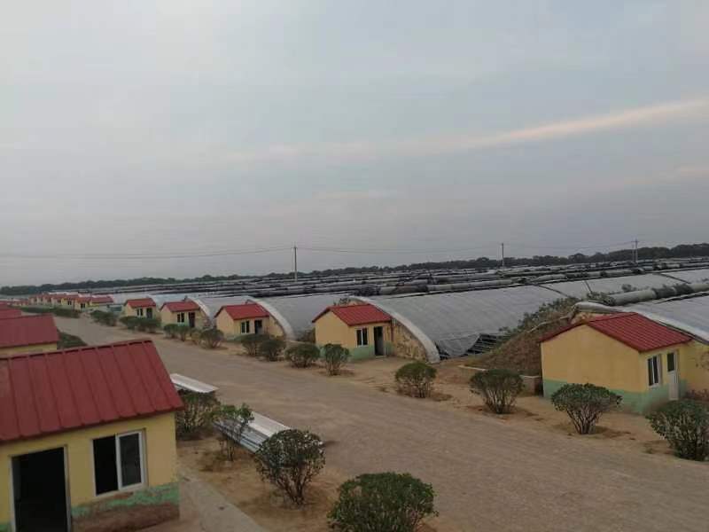 山西朔州温室全景.jpg
